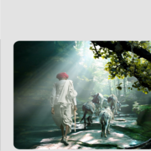 Mouse Pad