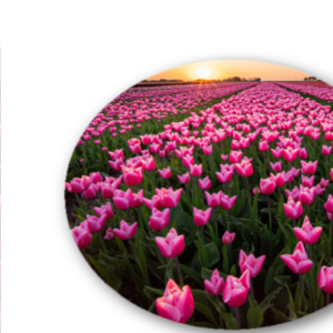 Mouse Pad
