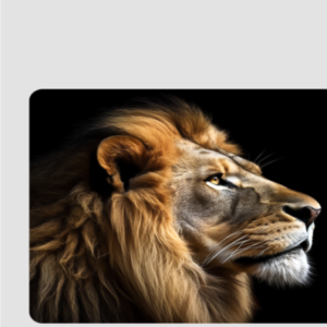 Mouse Pad